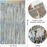 Tinsel Foil Fringe Curtains Wavy Backdrop for Parties Sparkle #10
