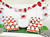 University of Arkansas Party Supplies for Football, Birthday Gift,