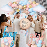Ouddy Party Gender Reveal Decorations Pastel Pink and Blue Nude