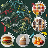 Dinosaur Fossil Birthday Party Decorations for 40 Guests Dinosaur