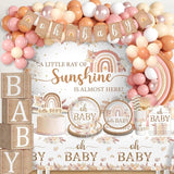 Boho Baby Shower Decorations A Little Ray of Sunshine Party Banner
