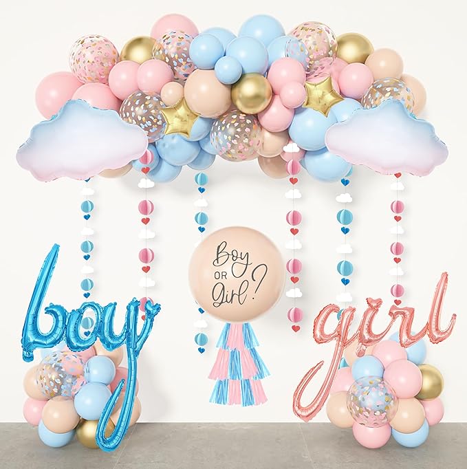 Ouddy Party Gender Reveal Decorations Pastel Pink and Blue Nude