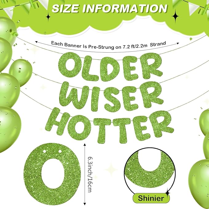 Fulmoon Set of 3 Pre Strung Older Wiser Hotter Glitter Banner Funny #1