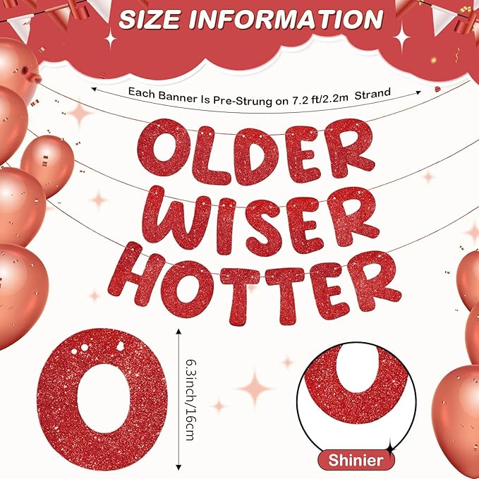 Fulmoon Set of 3 Pre Strung Older Wiser Hotter Glitter Banner Funny #5