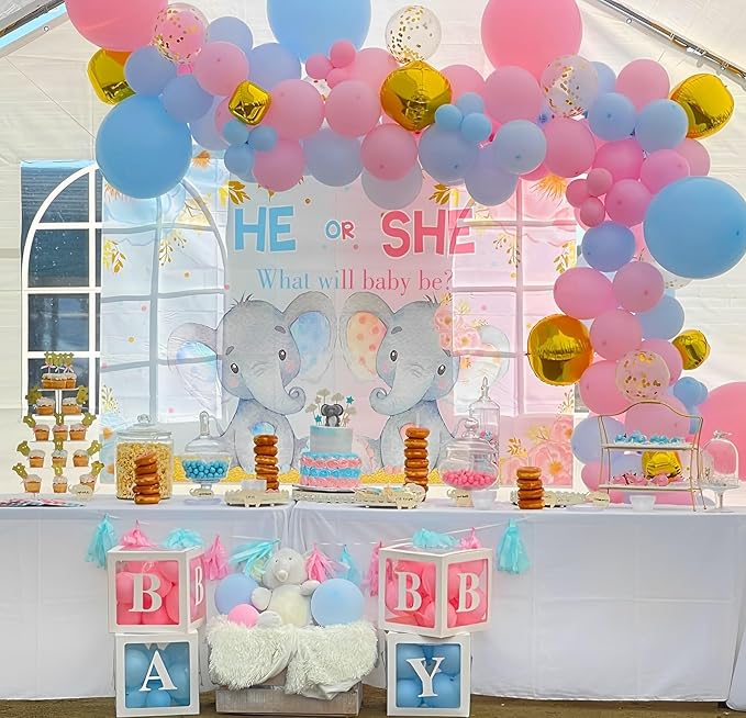 Pink & Blue Latex Balloon Set - 12 Inch Gender Reveal Balloon Pink