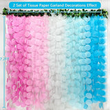 205 Ft Gender Reveal Party Decorations Ombre Pink and Blue Big