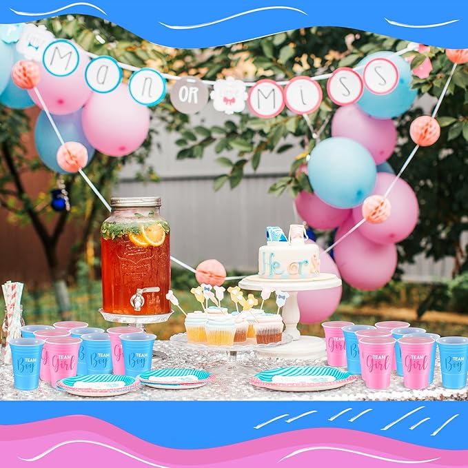 30 Pcs Gender Reveal Plastic Blue Pink Cups Gender Reveal Cups