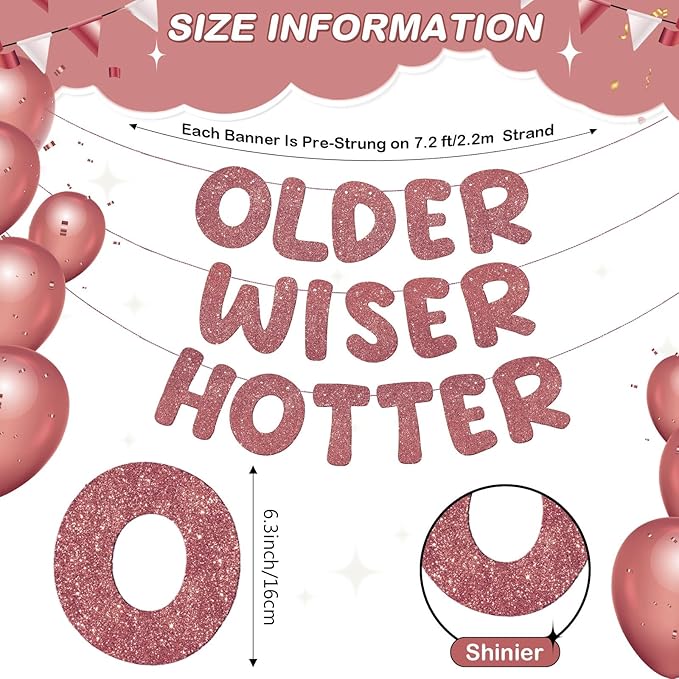 Fulmoon Set of 3 Pre Strung Older Wiser Hotter Glitter Banner Funny #1