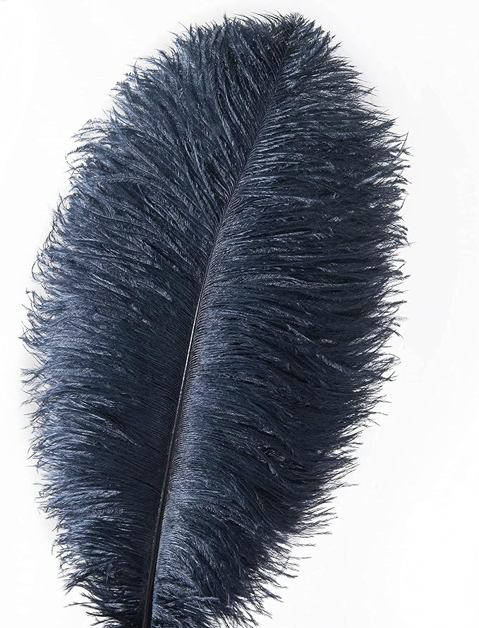 Ballinger Navy Blue Ostrich Feathers Plumes - 24pcs 10-12inch Craft