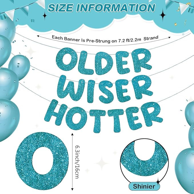 Fulmoon Set of 3 Pre Strung Older Wiser Hotter Glitter Banner Funny #1