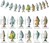 Hooqict Gone Fishing Hanging Banner Garland Fish Birthday Party