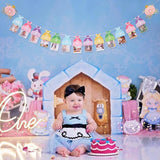 Princess 12 Month Photo Banner Princess Birthday Party Decorations