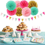 Mint Blush Hot Pink Gold Party Decorations 30pcs Tissue Pom Poms
