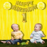 BRAVESHINE Fringe Curtain Backdrop - 2 Pack Pastel Yellow Photo