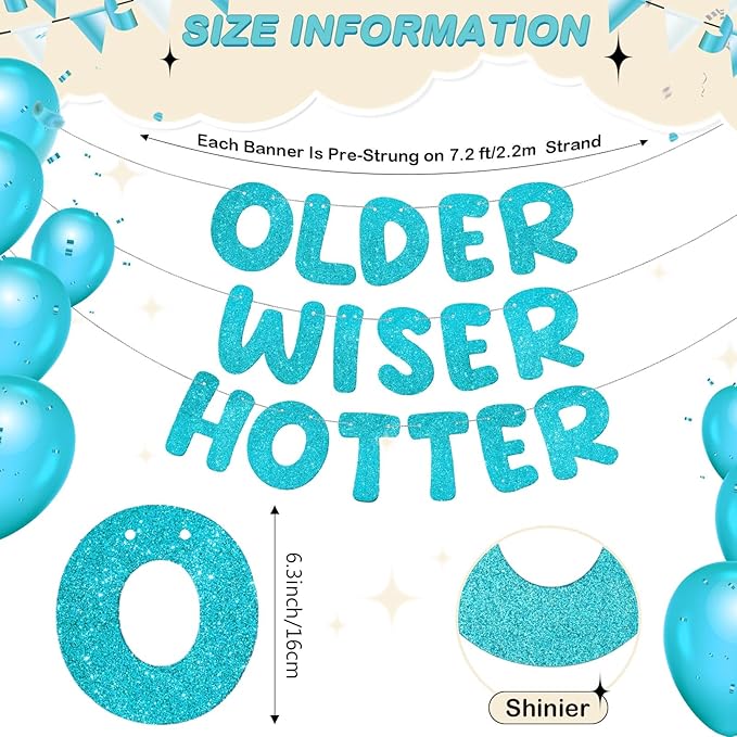 Fulmoon Set of 3 Pre Strung Older Wiser Hotter Glitter Banner Funny #1