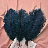Ballinger Navy Blue Ostrich Feathers Plumes - 24pcs 8-10inch Craft