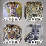 Jungle Safari Paper Party Plates 16 pcs ! 16 7in Square Dessert