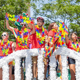 Arrowom Pride Accessories, 24pcs LGBTQ Floral Leis Decorations Bulk,