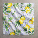 Maison d' Hermine Cloth Napkins Set of 4 100% Cotton Everyday Reusable
