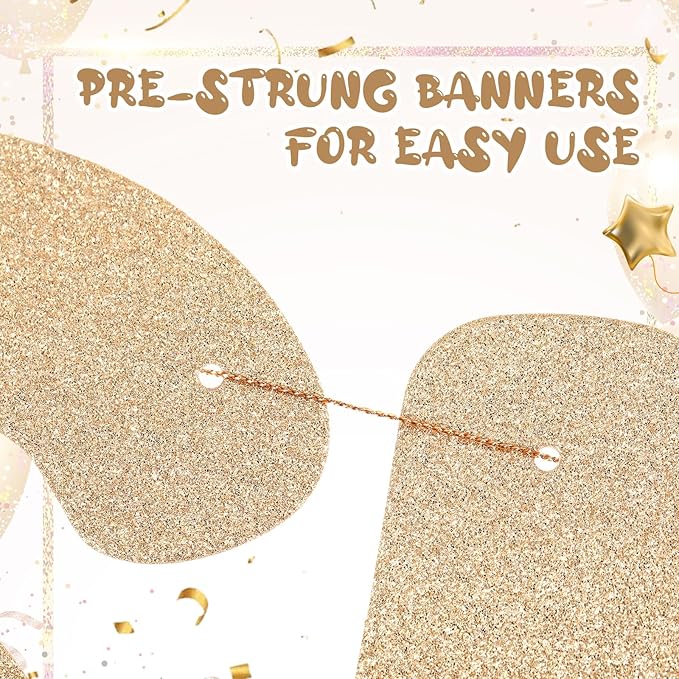 Yeaqee Pre-strung Glitter Funny Birthday Banner, Let's Party But Only