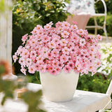 AmyHomie 20 Bundles Artificial Flowers for Outdoor Outside Spring