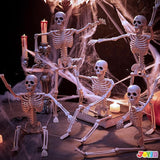 5 PCS Posable Halloween Skeleton Decor 16 Inches Full Body Posable
