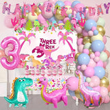 Pink Three Dino Rex Birthday Party Decorations Dinosaur 3rd Birthday