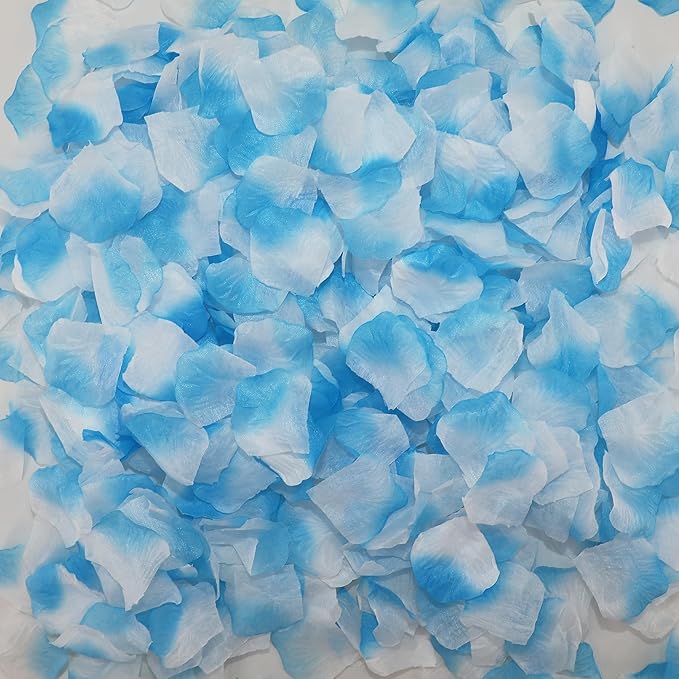 CODE FLORIST 2200 PCS Silk Rose Petals for Valentine's Day,Fake Rose
