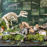 Dinosaur Fossil Birthday Party Decorations for 40 Guests Dinosaur