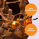 5 PCS Posable Halloween Skeleton Decor 16 Inches Full Body Posable