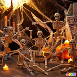 5 PCS Posable Halloween Skeleton Decor 16 Inches Full Body Posable